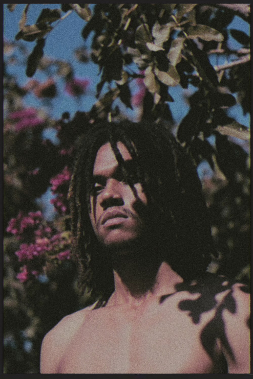 Banana Emoji july 2018 small 1502BananaJPG